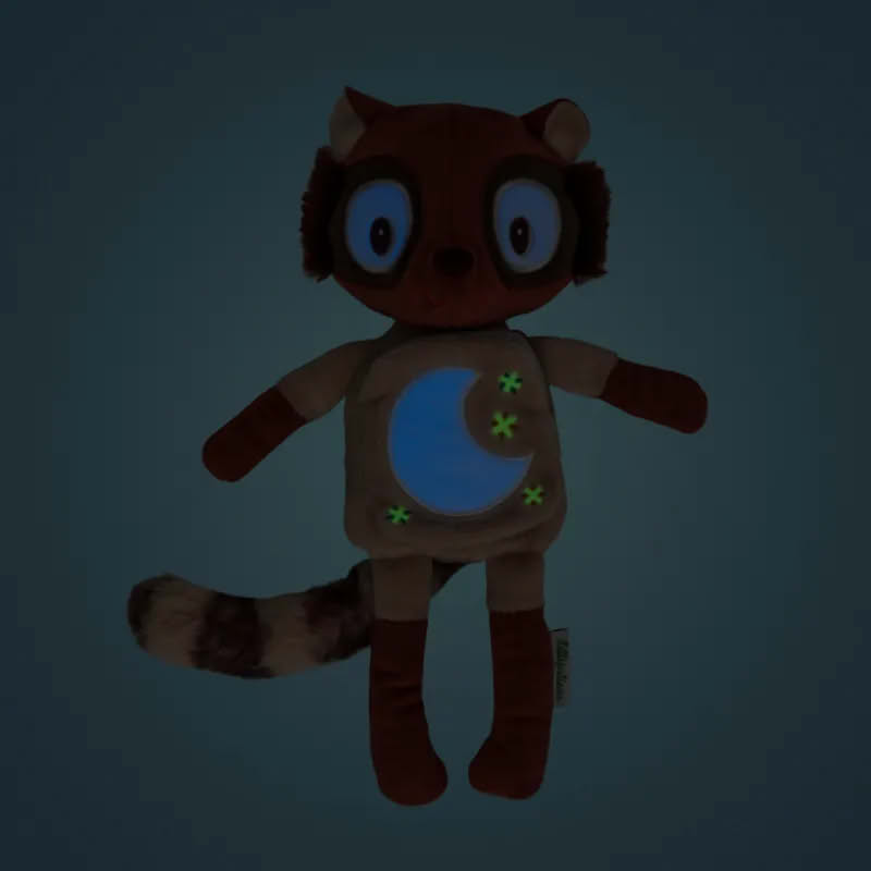 Peluche procione con libro morbido della buonanotte per neonati dai 6 mesi in su